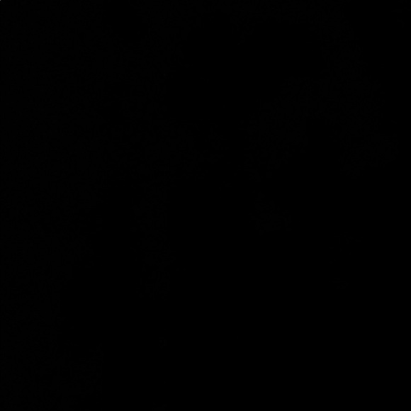 reetipathak1078